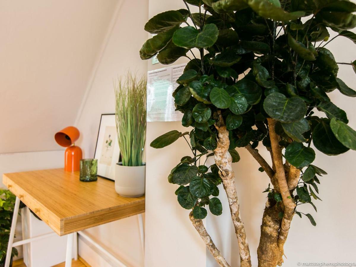 Exquisite 3Bdr Botanical Oasis In Central Brighton ภายนอก รูปภาพ